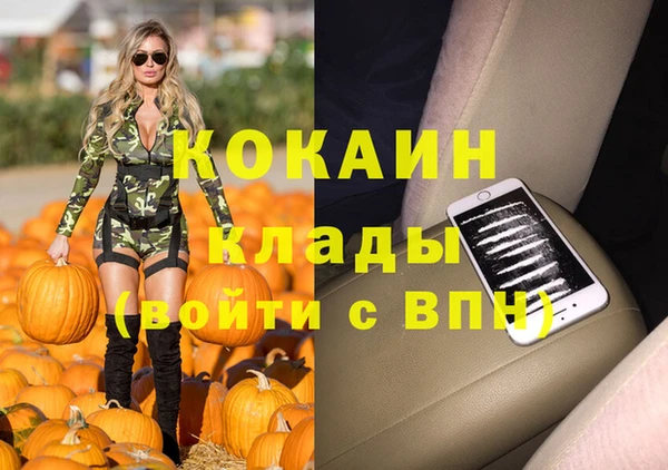 прущий лед Инсар