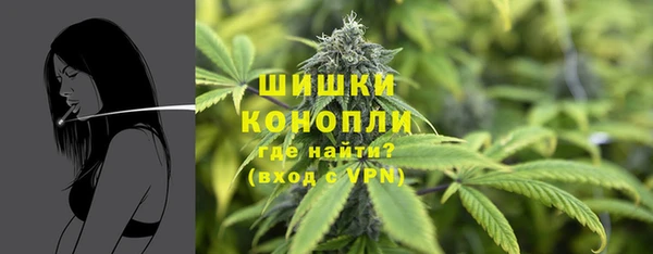 прущий лед Инта