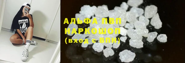 прущий лед Инсар