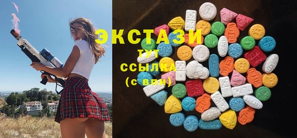 прущий лед Инсар