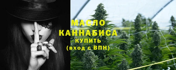 прущий лед Инсар
