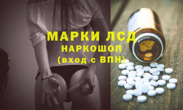 прущий лед Инсар